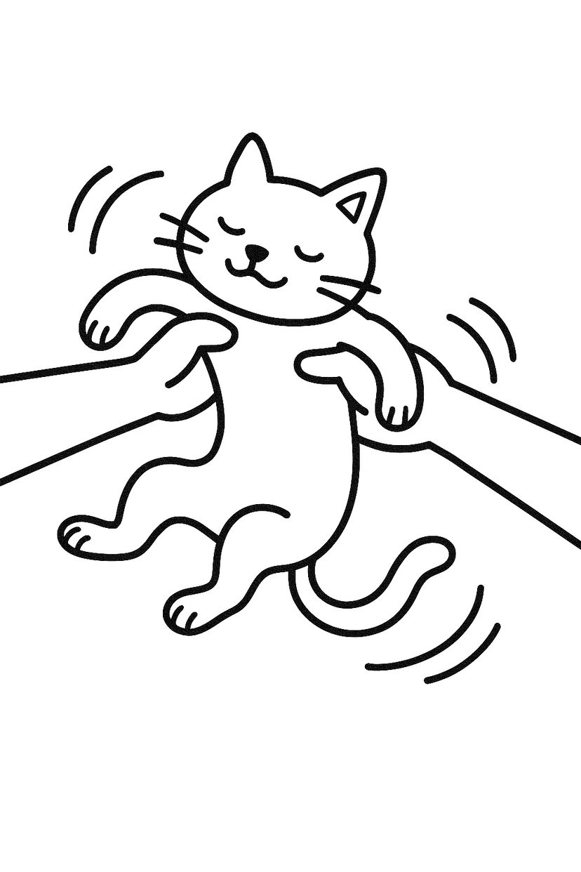 Chat Balançant