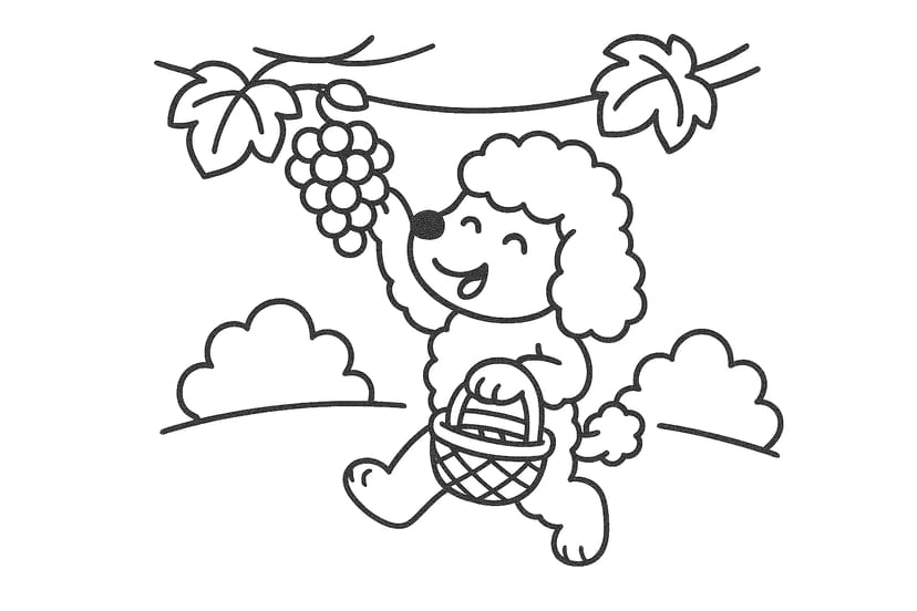 Caniche Cueillant des Raisins