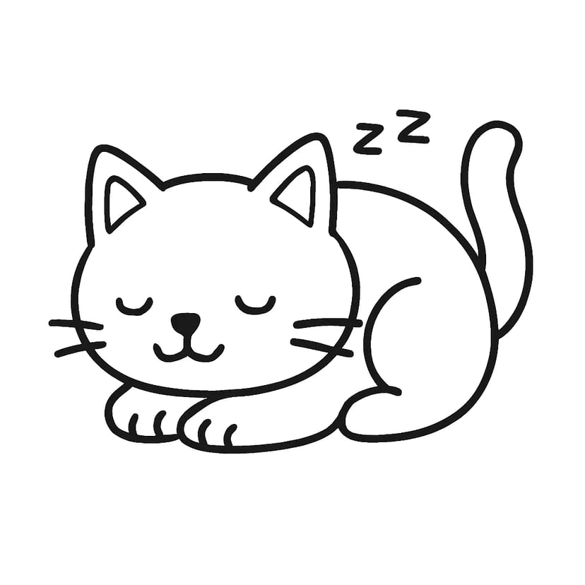Chat Endormi