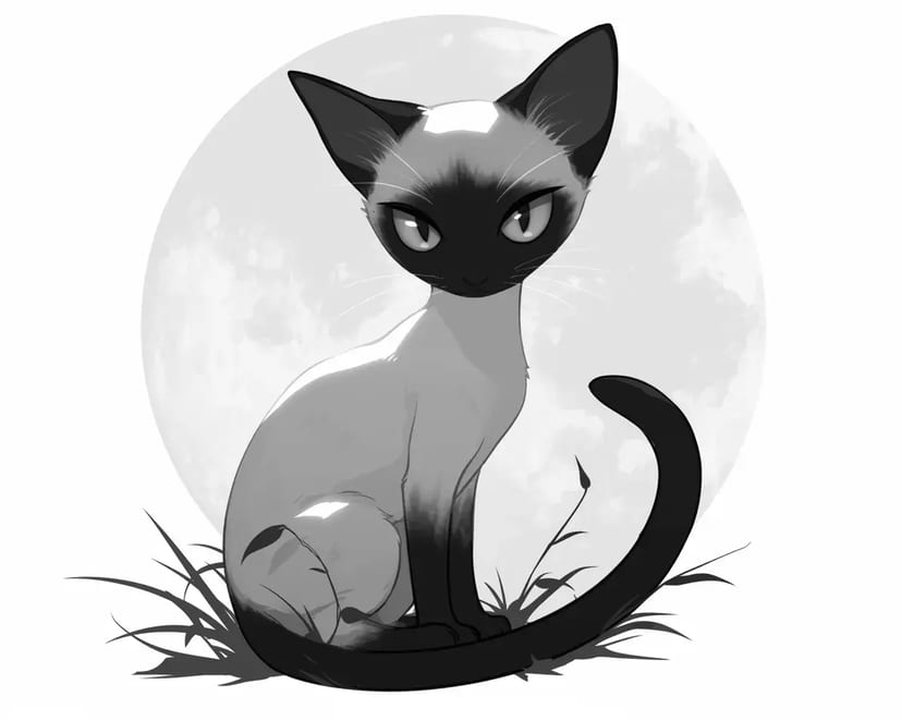 Chat au Clair de Lune