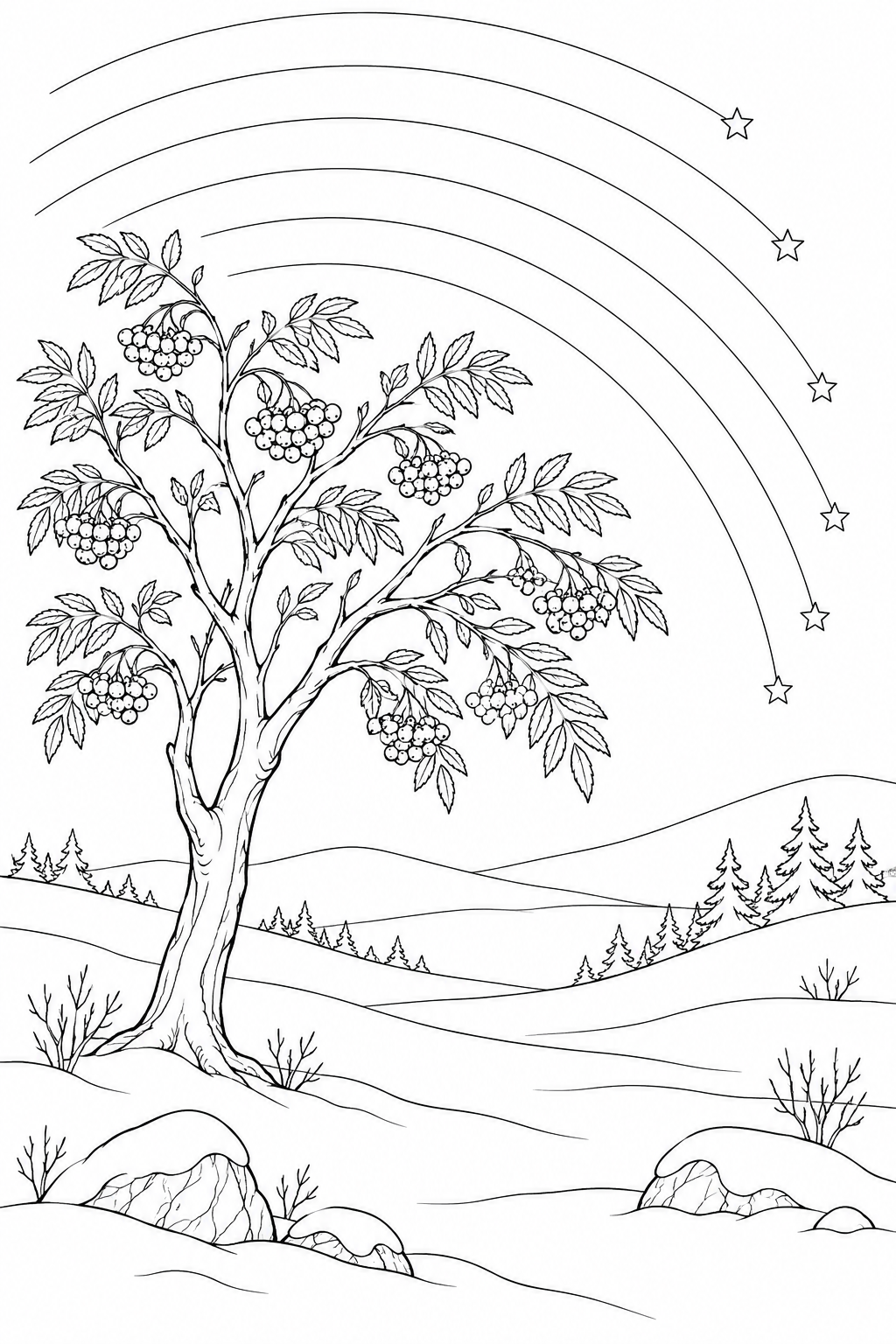 雪原のナナカマドと星の軌跡の塗り絵