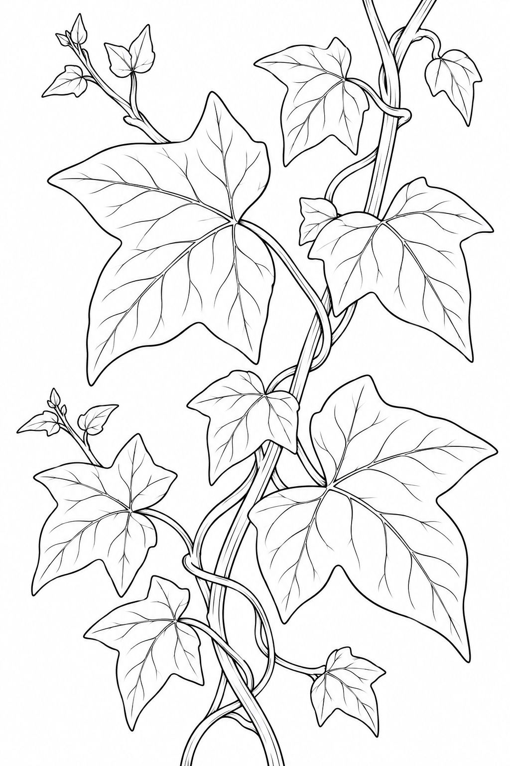 Coloriage Étude de nature : Lianes et feuilles de lierre