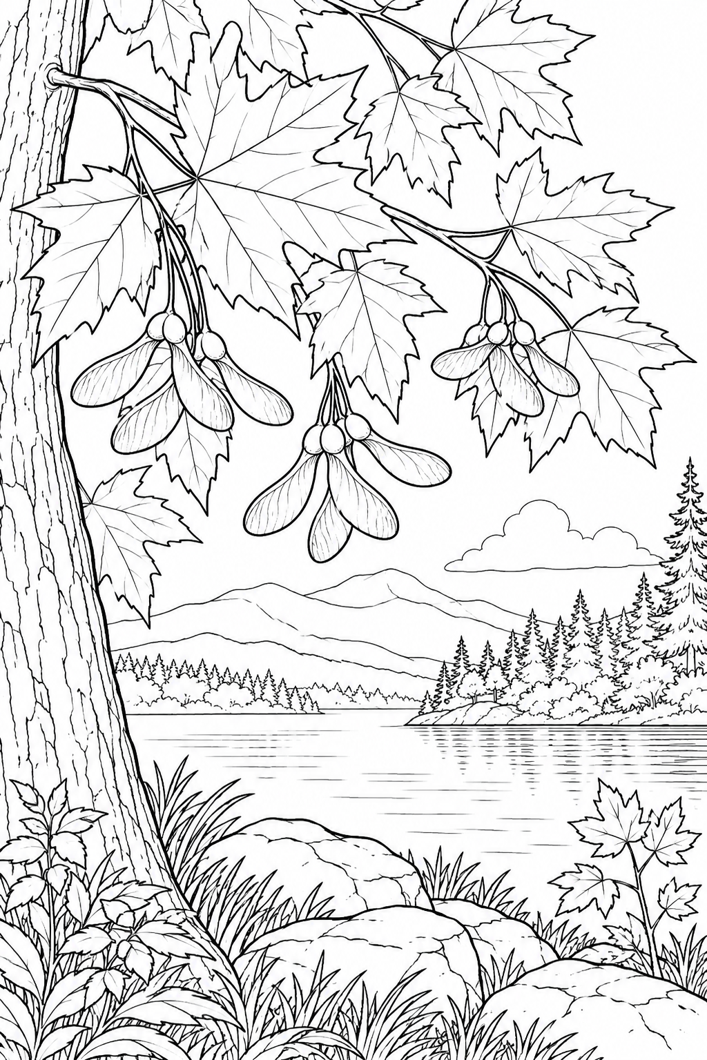 Desenho de Uma cena natural: Folhas de bordo e sementes aladas para colorir