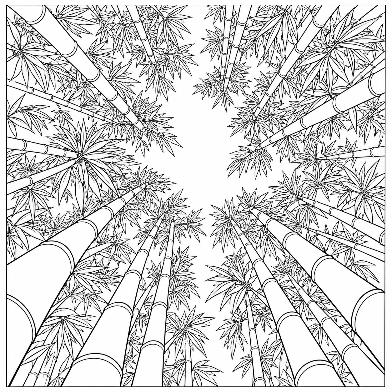 Coloriage Ciel au-dessus d’une bambouseraie