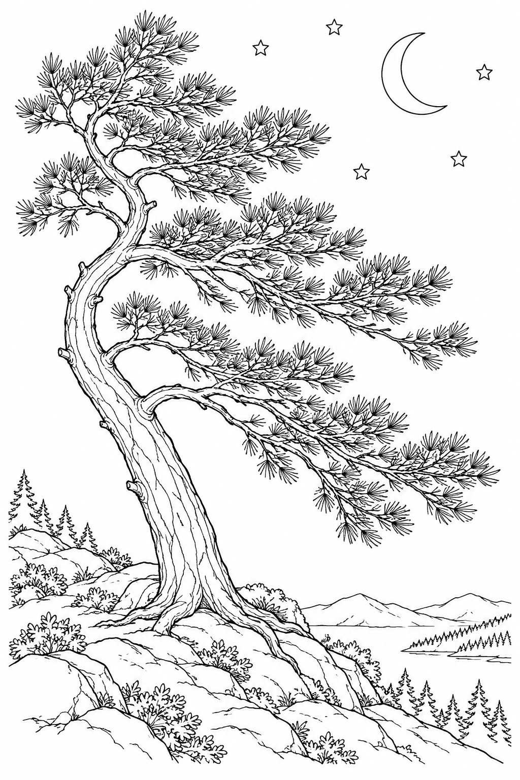 Coloriage Pin solitaire vers le ciel nocturne