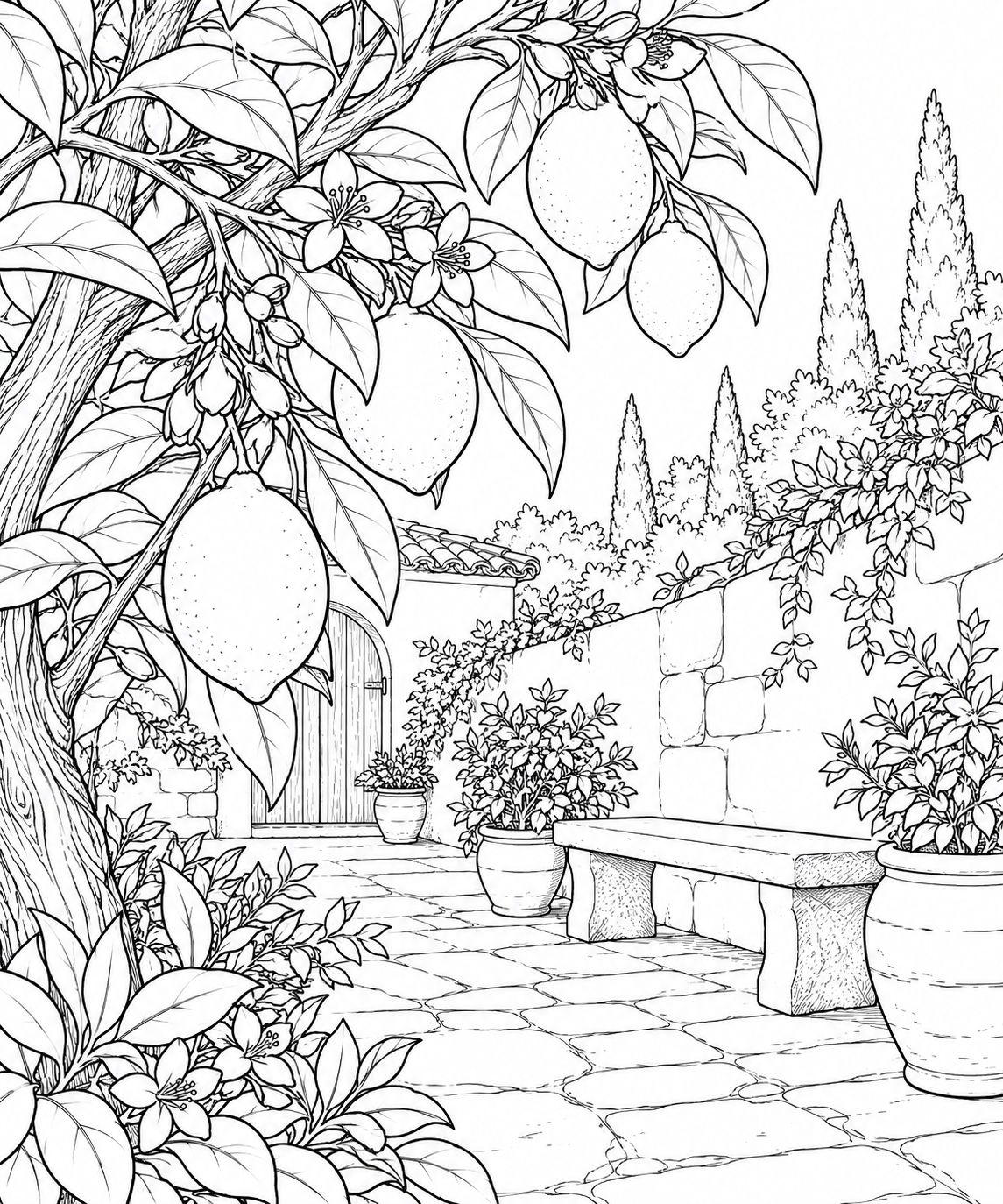 自然のひとこま：レモンの花と実の塗り絵