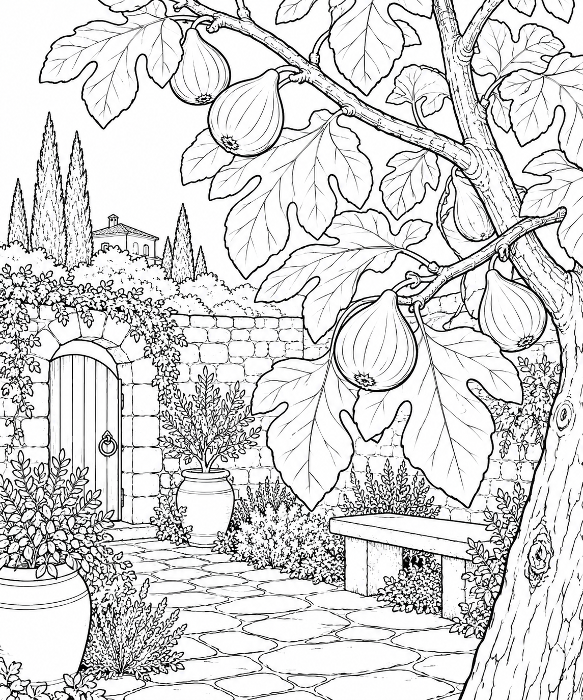 Coloriage Scène de nature : Figues et grandes feuilles