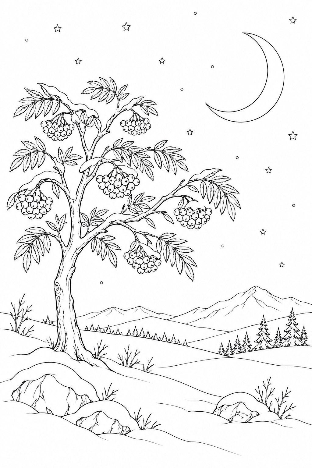 雪原のナナカマドと三日月の塗り絵