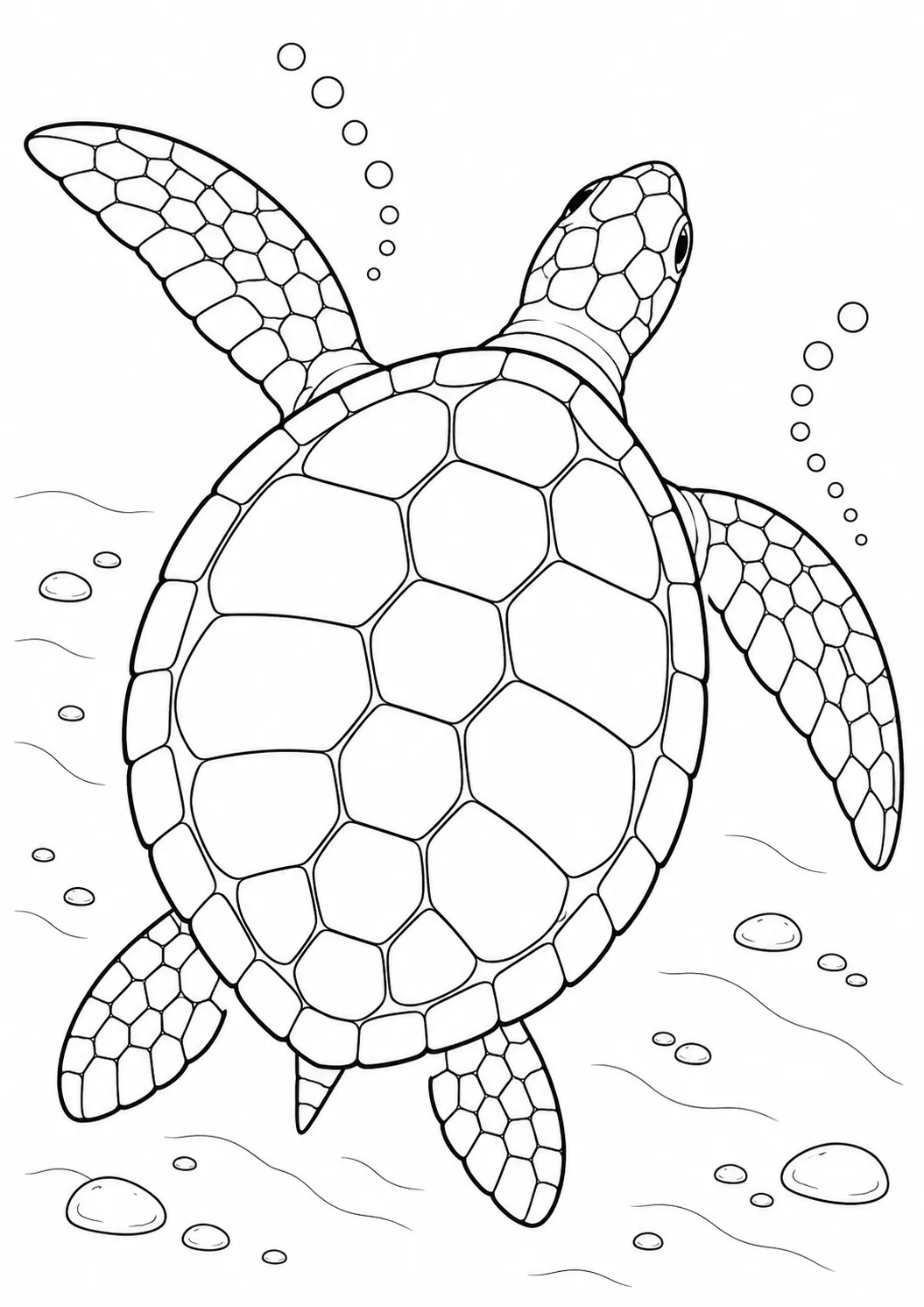 真上から見た泳ぐウミガメの塗り絵
