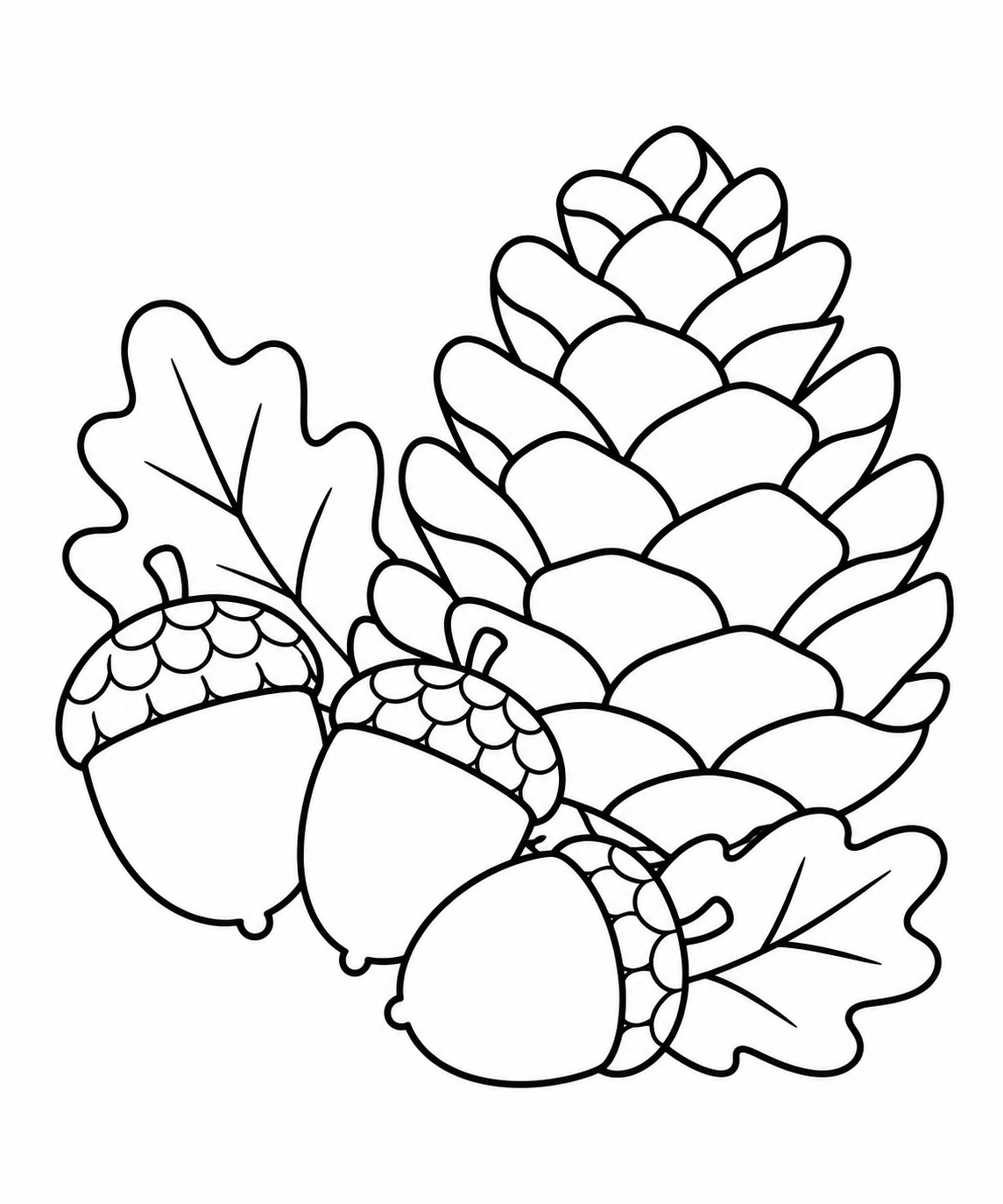 どんぐりとまつぼっくりの塗り絵